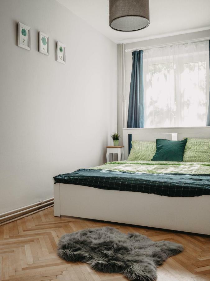 Business And Travel Central Apartment Temeşvar Dış mekan fotoğraf